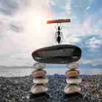 精​准﻿关‍键​词‌研‌究﻿平﻿台‍是​什‍么﻿